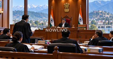 Editorial illustration of a formal courtroom with a judge, lawyers, case files and a mountainous Jammu and Kashmir landscape outside the window.