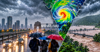 Illustrative composite of severe rain, cyclone clouds and storm-affected roads in India; not a documentary image of casualties or actual damaged infrastructure.