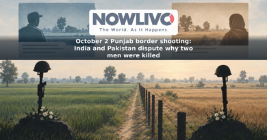 Conceptual illustration of a fenced Punjab border with contrasting account panels and two memorial silhouettes.