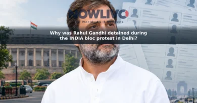 Editorial illustration of Rahul Gandhi with a New Delhi streetscape and voter-list imagery.