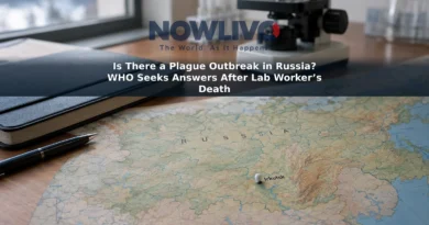 Illustrative tabletop scene with a map marking Irkutsk, a closed notebook and a microscope in the background.