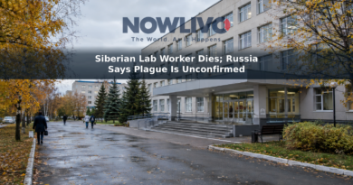 Illustrative view of a hospital exterior on an overcast autumn day in a Siberian city.