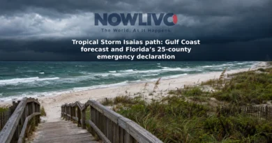 Dark storm clouds over wind-ruffled Gulf waters beside a Florida Panhandle beach access.