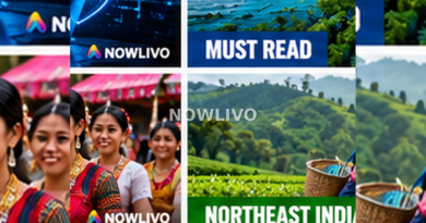 Editorial illustration associated with what to know about mizo handicrafts and local markets