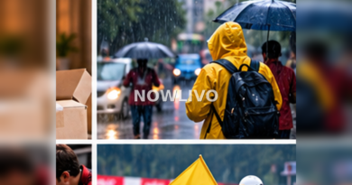 Illustrative scene for an article about wuhan tennis october 15: how to follow verified live results
